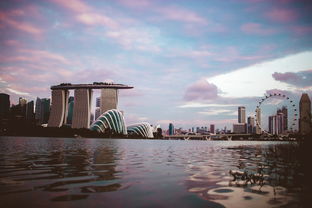 七月新加坡六日游，畅享狮城之美！