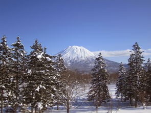 六月份札幌自由行合适吗?独享北海道夏日美景! 六月份札幌自由行合适吗?独享北海道夏日美景!
