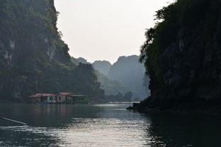 八月越南旅游：探索令人惊叹的美景！