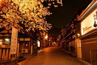 三月京都旅游，最佳时节等你来