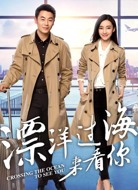 漂洋过海来看你剧情介绍,漂洋过海(飘扬洋过海来看你剧情介绍)