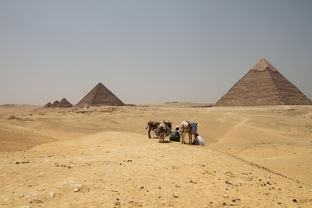 六月埃及五日游攻略：探索古老文明，感受沙漠之美！