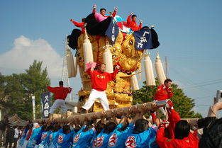 五日探秘马达加斯加,三月之旅乐趣无穷 五日探秘马达加斯加,三月之旅乐趣无穷