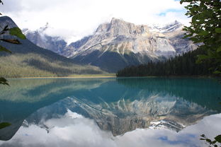 六月加拿大旅游：美不胜收的自然景观，让你流连忘返！