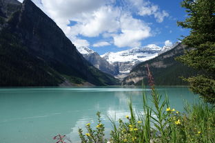 六月加拿大旅游：美不胜收的自然景观，让你流连忘返！