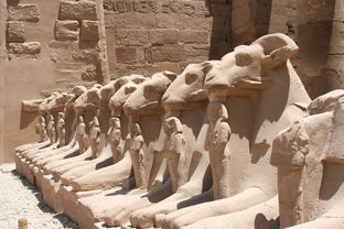 四月埃及五日游，探寻古老文明的奇迹