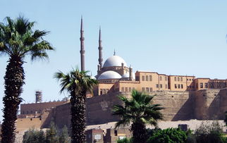 四月埃及五日游，探寻古老文明的奇迹