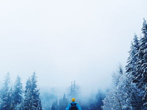 五月迪拜自驾游:完美的旅行体验 五月迪拜自驾游:完美的旅行体验