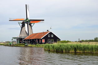 七月荷兰旅游攻略：探索风车与郁金香，尽享夏日之美！