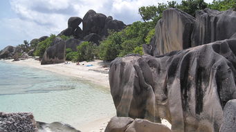 六月份马达加斯加六日游合适吗？探索热带岛国的绝美自然与文化魅力！