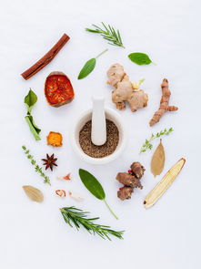 八月马来西亚七日游费用:尽享美食与自然,超值体验! 八月马来西亚七日游费用:尽享美食与自然,超值体验!
