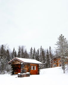 二月挪威旅行：探索酒店费用，享受北欧之冬