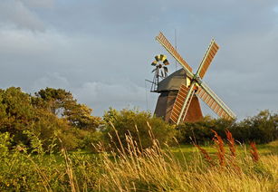 五月荷兰自驾游攻略：探索郁金香花海，领略风车乡村