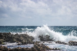 六月冲绳,夏日海滩与繁花盛开 六月冲绳,夏日海滩与繁花盛开