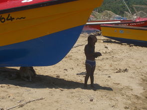六月份马达加斯加七日游多少钱？探索这个热带天堂的费用一览