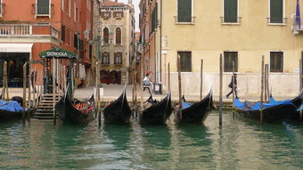 八月威尼斯七日游，探索水城浪漫之旅！