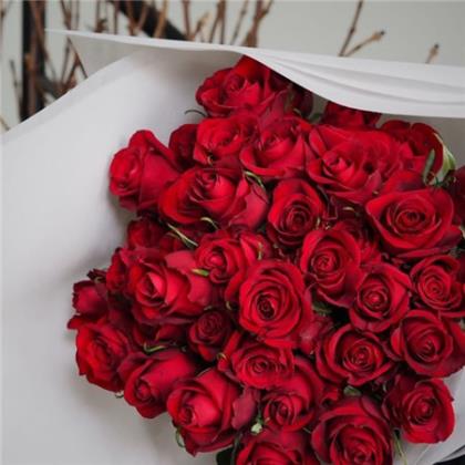 每日清晨励志一句话