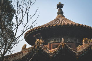 六月份京都七日游多少钱?探索古城魅力,尽享文化之旅! 六月份京都七日游多少钱?探索古城魅力,尽享文化之旅!