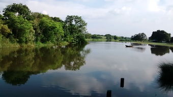 六月下龙湾六日游注意什么!体验独特的自然美景,留意天气变化和安全措施。 六月下龙湾六日游注意什么!体验独特的自然美景,留意天气变化和安全措施。