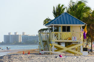 六月份迈阿密自驾游注意什么！夏日热浪与海滩乐趣相伴，行车安全和天气预警是关键！