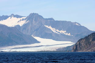 六月份阿拉斯加五日游注意什么？独特的冰川探险与野生动物观赏，让你心旷神怡！