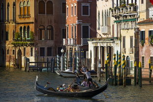 三月威尼斯七日游的预算费用是多少？