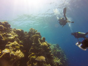 八月沙美岛六日游，探寻天堂般的海滩与迷人的水下世界！