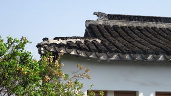 五月份苏梅岛七日游注意什么?避开雨季,留足时间探索美景! 五月份苏梅岛七日游注意什么?避开雨季,留足时间探索美景!