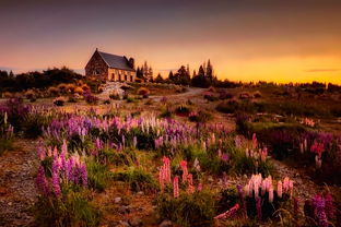 八月墨西哥自由行:天气、景点和旅游攻略 八月墨西哥自由行:天气、景点和旅游攻略