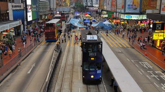 三月香港旅游推荐:探索这个繁华都市的绝佳时机 三月香港旅游推荐:探索这个繁华都市的绝佳时机