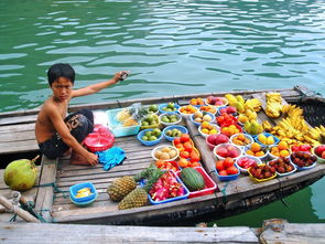八月河内五日游，尽享越南之美！