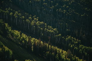 三月奥地利自驾游注意事项及必备准备 三月奥地利自驾游注意事项及必备准备