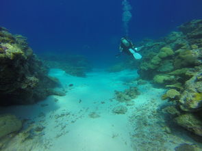 八月份普吉岛五日游合适吗？探索这个热带天堂的最佳时机！