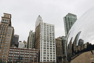 五月芝加哥五日游，尽享城市风情！