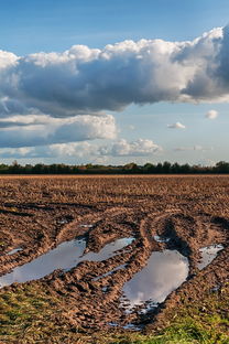 七月独特魅力，普罗旺斯五日游攻略！