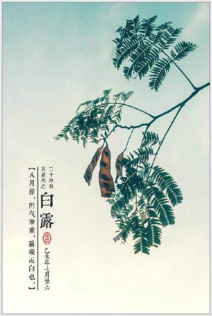 2023年晚安说说