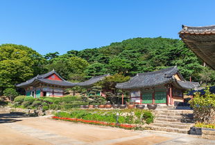 京都五日游,三月份的旅行好玩吗? 京都五日游,三月份的旅行好玩吗?