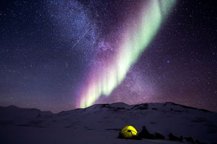 五月阿拉斯加五日游：探索北极之美，尽享冰川奇观！