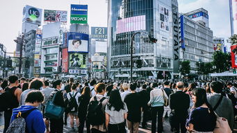 七月东京自驾游:探索繁华都市,畅享夏日之旅! 七月东京自驾游:探索繁华都市,畅享夏日之旅!
