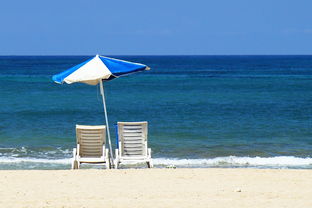 八月洛杉矶酒店推荐：享受夏日海滩度假！