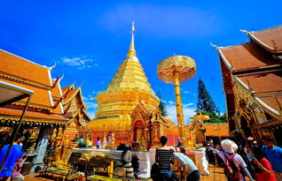 八月独特魅力,佛罗伦萨六日游推荐! 八月独特魅力,佛罗伦萨六日游推荐!
