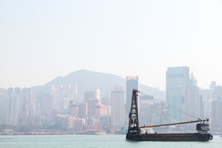 五月份香港旅游合适吗的完整指南