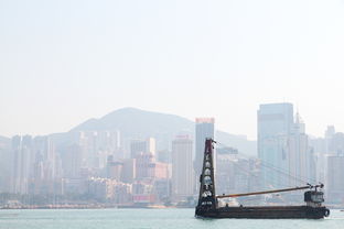 五月份香港旅游合适吗的完整指南 五月份香港旅游合适吗的完整指南