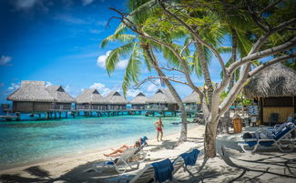 八月份毛里求斯自由行哪个好：探索海岛之美，尽享热带天堂