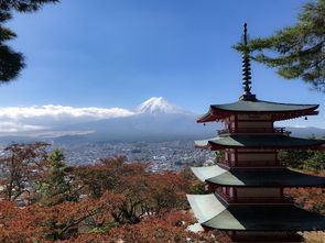 五月份日本旅游费用大揭秘 五月份日本旅游费用大揭秘