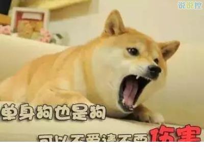 冬天早上跑步励志短语