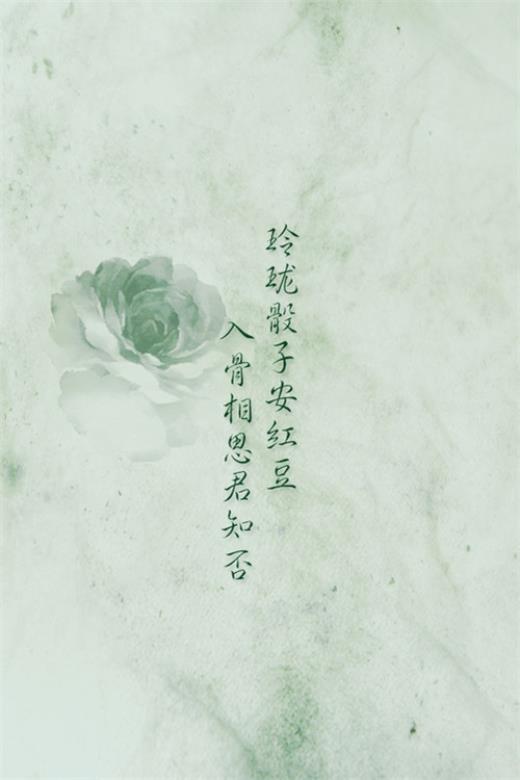 发朋友圈的温柔文案