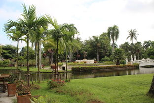 八月清莱自由行:探索泰北秘境,尽享自然之美! 八月清莱自由行:探索泰北秘境,尽享自然之美!