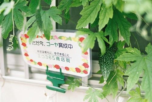 毕淑敏经典语录句子迷