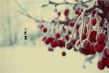 元旦送爱人的祝福语